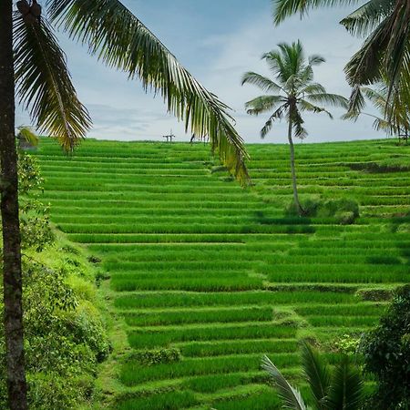 Be Bali Stay Ubud  Luaran gambar