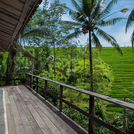 Be Bali Stay Ubud  Luaran gambar