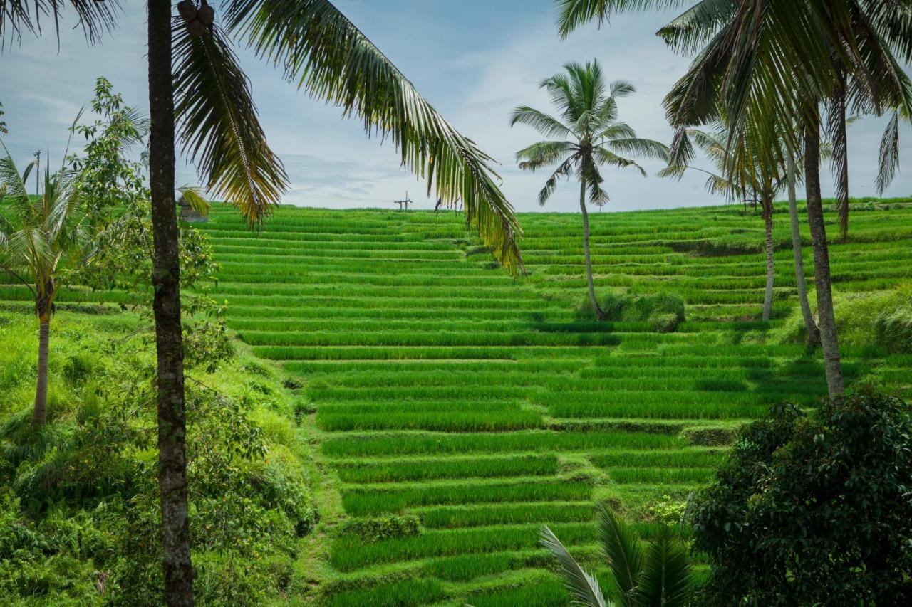 Be Bali Stay Ubud  Luaran gambar