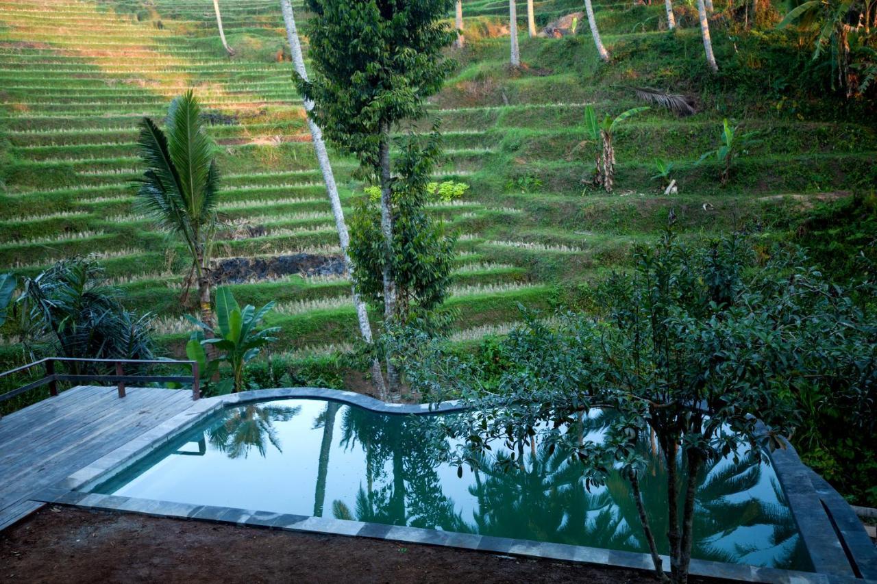 Be Bali Stay Ubud  Luaran gambar