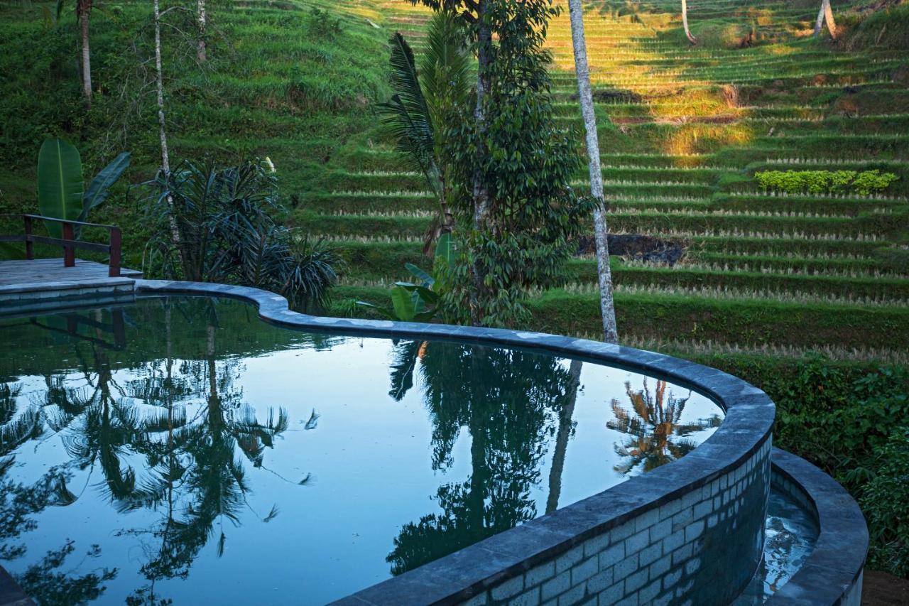 Be Bali Stay Ubud  Luaran gambar