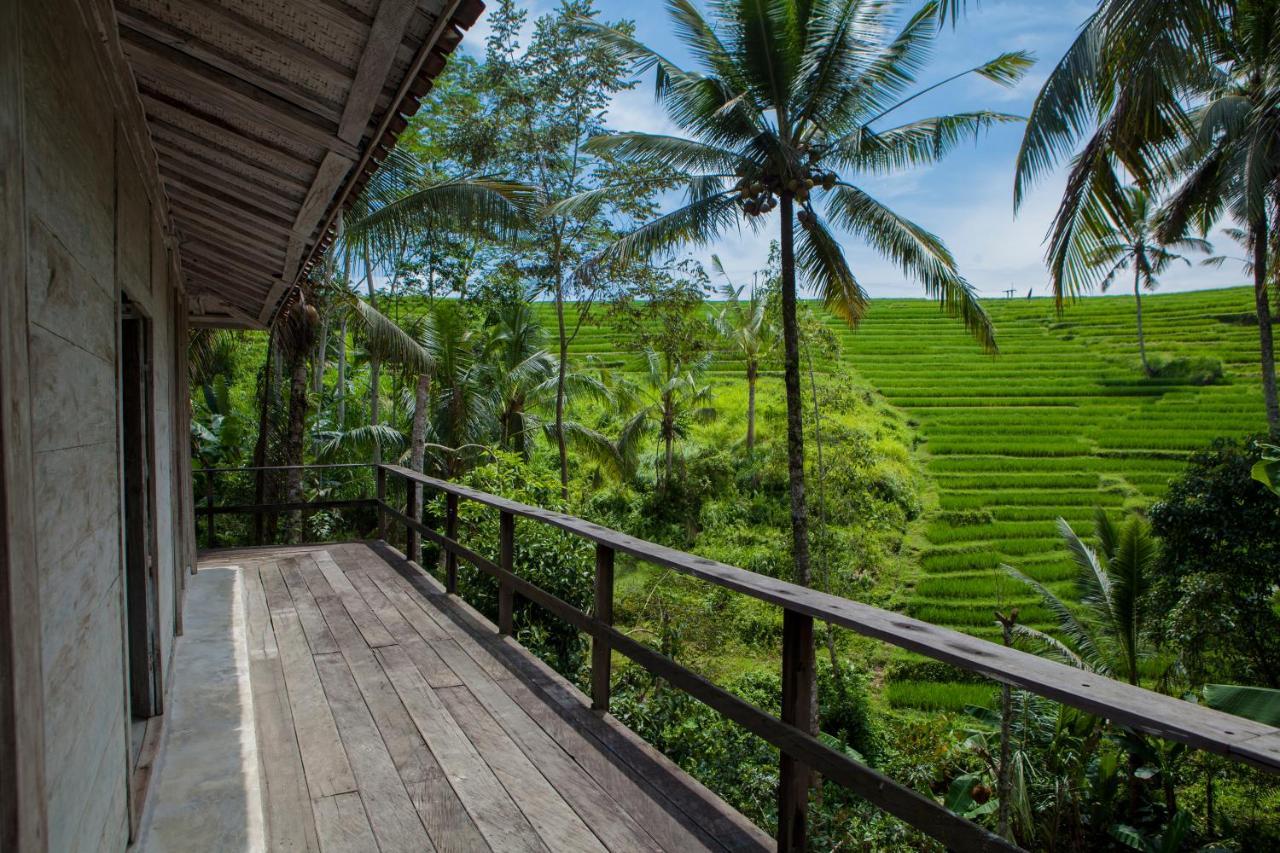Be Bali Stay Ubud  Luaran gambar