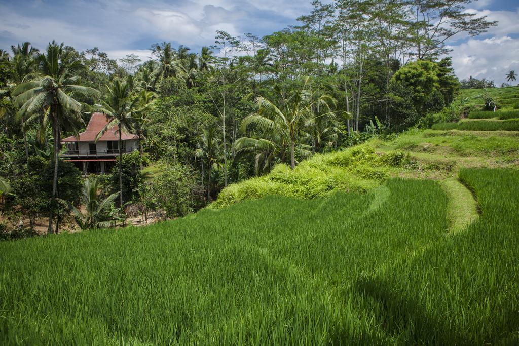 Be Bali Stay Ubud  Luaran gambar
